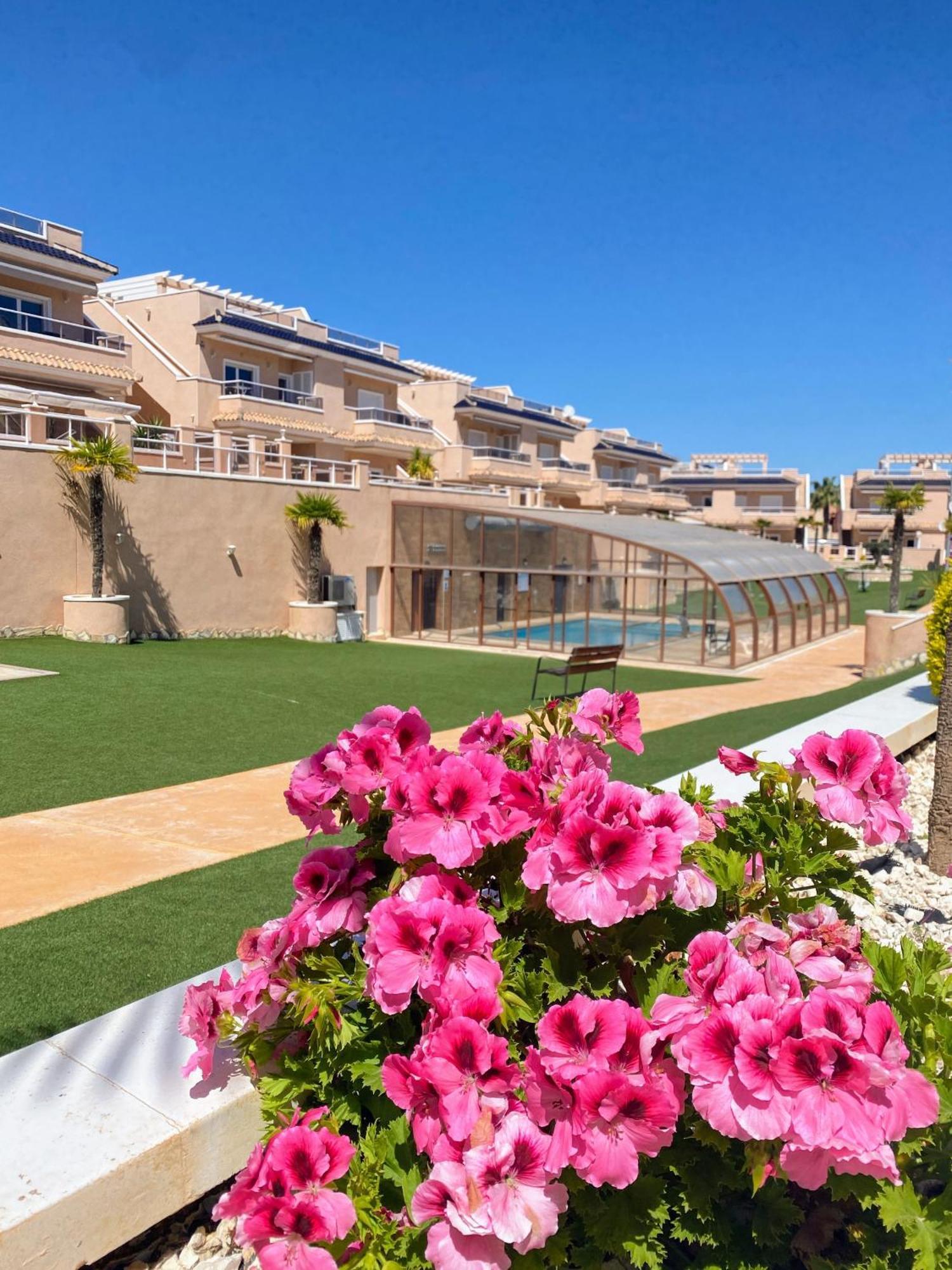 Apartments Punta Prima Indoor & Outdoor Pool Torrevieja Exteriör bild